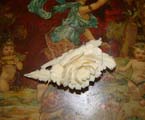 Wonderful ivory carved brooch.